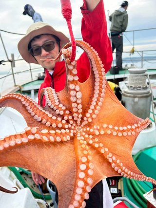 タコ