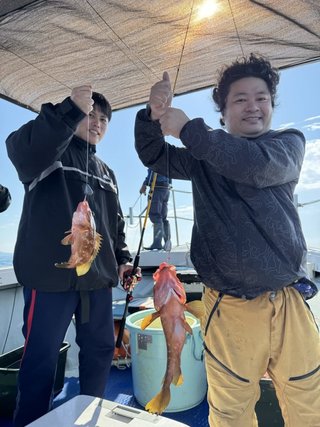 アコウ