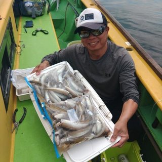 シロギス