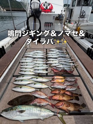 ブリ