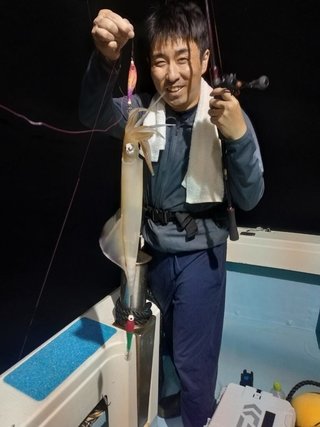 ヤリイカ