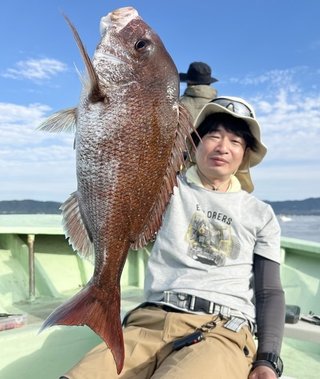 マダイ