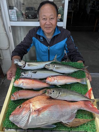 アジ
