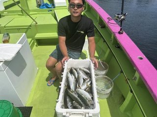 マアジ