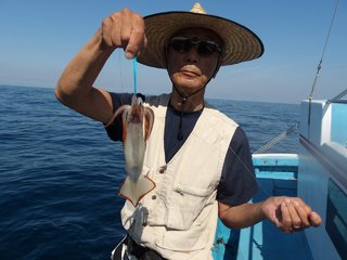 スルメイカ