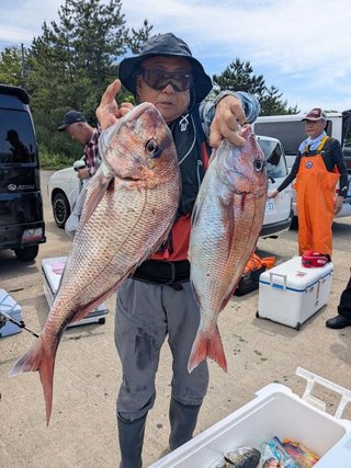 マダイ