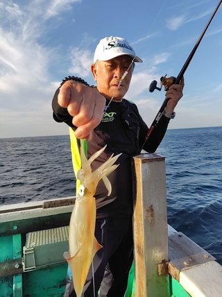 スルメ