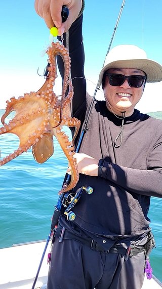 タコ