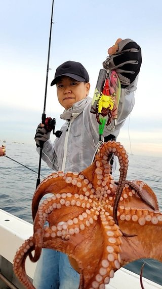 タコ