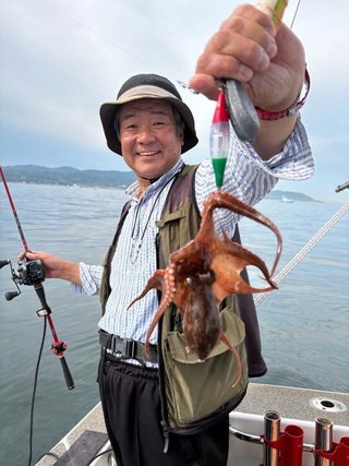 マダコ