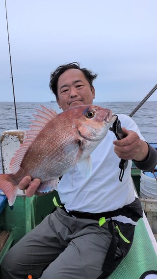 マダイ