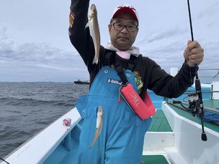 シロギス