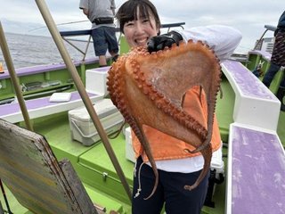 マダコ