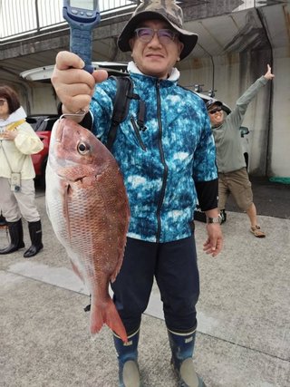 マダイ