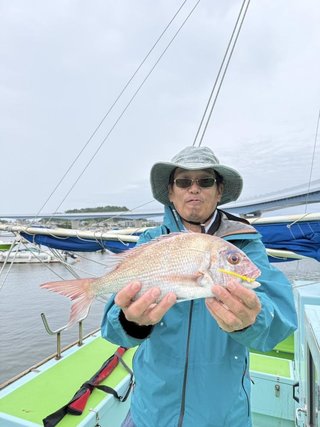 マダイ