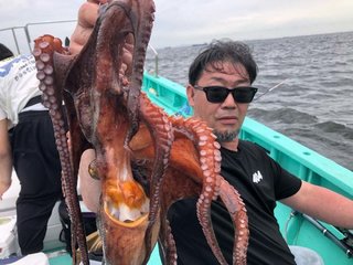 タコ