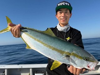 ヒラマサ