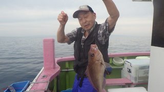 マダイ