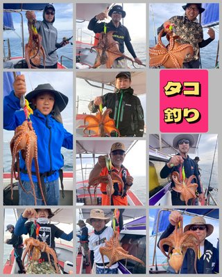 タコ
