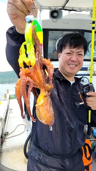 タコ