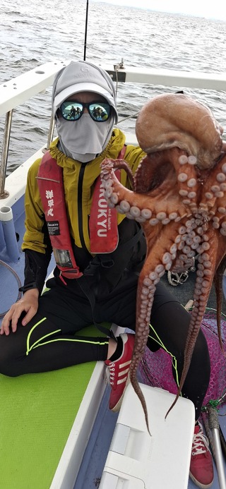 タコ