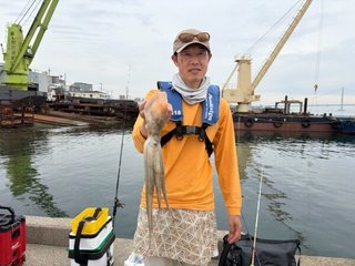 タコ