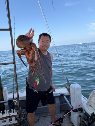 タコ