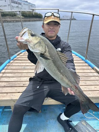 シーバス