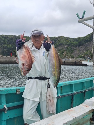マダイ