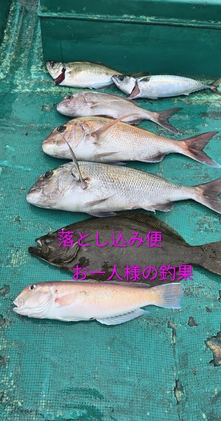 ヒラメ