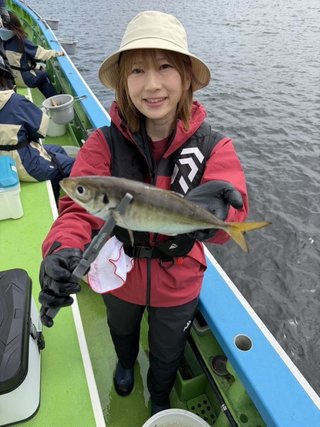 マアジ