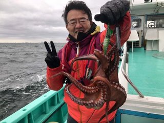 タコ
