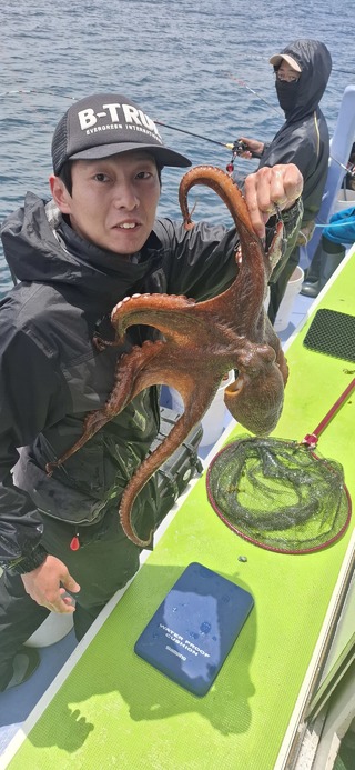 タコ