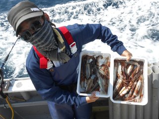 スルメイカ