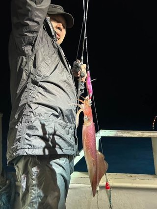 シロイカ