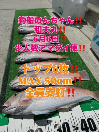 シロアマダイ
