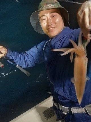 ヤリイカ