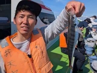 マゴチ