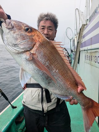 マダイ