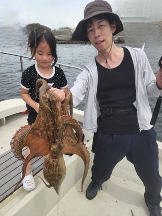 タコ