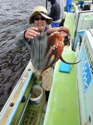 タコ