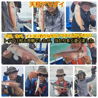 シロアマダイ