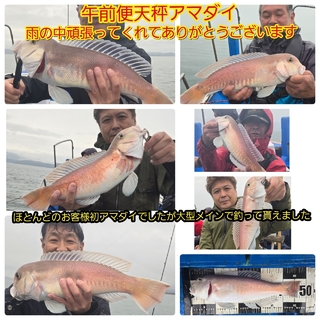 シロアマダイ