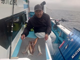スルメイカ