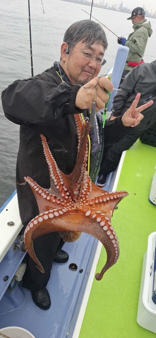 タコ