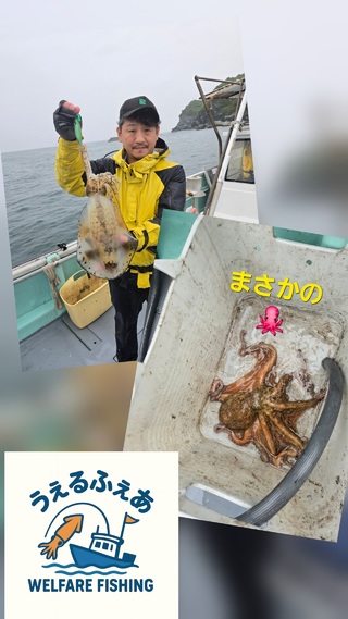 アオリイカ