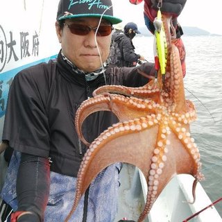 タコ