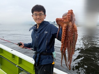 タコ