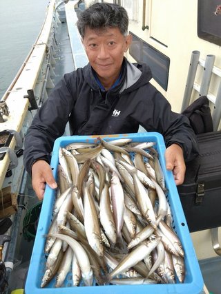 シロギス