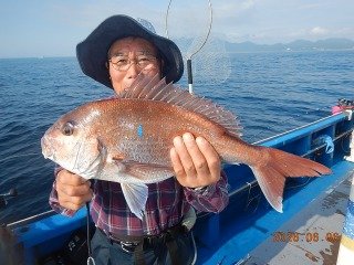 マダイ
